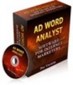 Thumbnail AdWord Analyst
