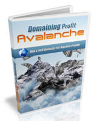 Product picture Domaining Profits Avalanche